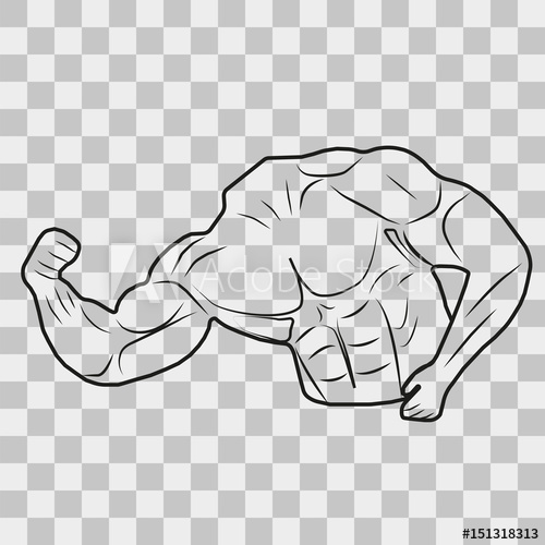 Vector image of muscular male torso with hands on a