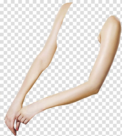 Arm Human leg Human body Torso Doll, legs transparent