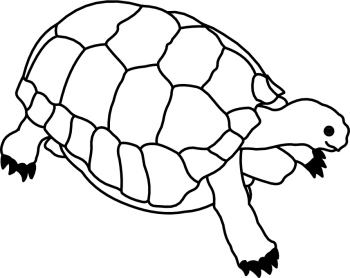 Tortoise clipart black and white