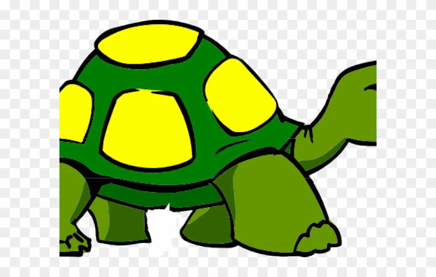 Cartoon transparent tortoise.