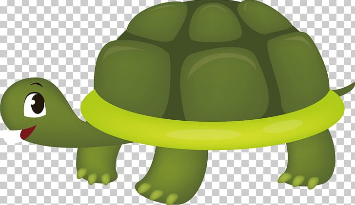 tortoise clipart cartoon