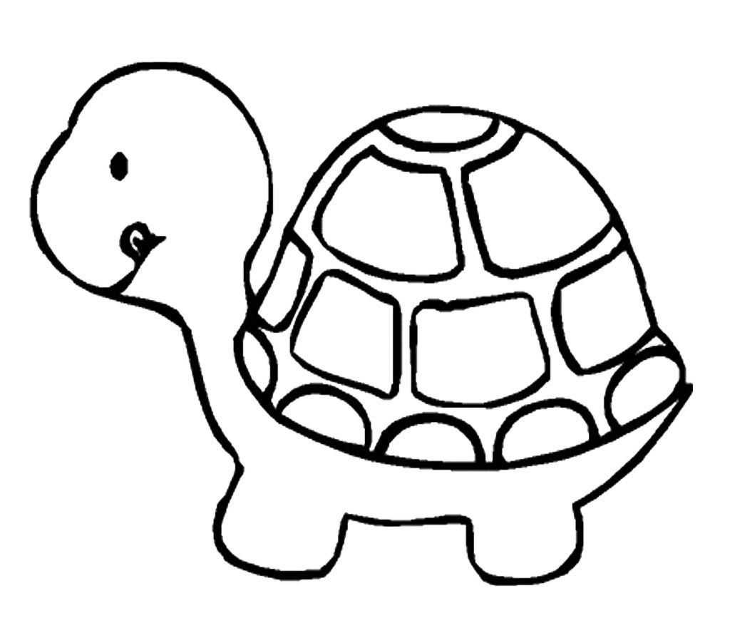 Turtle drawings with.