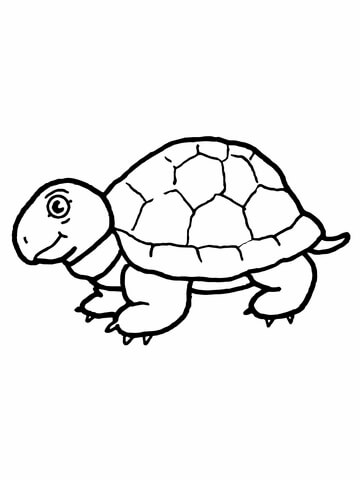 Cute Tortoise coloring page