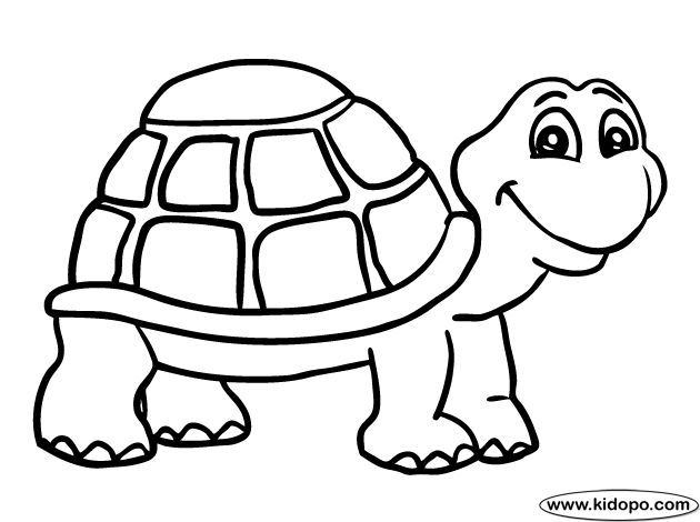 tortoise clipart coloring