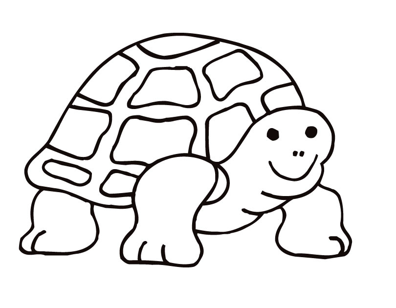 tortoise clipart coloring
