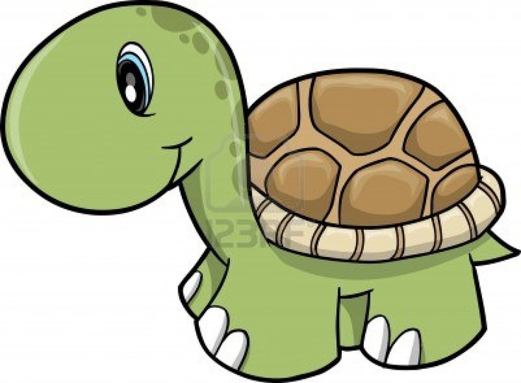 Cute tortoise clipart