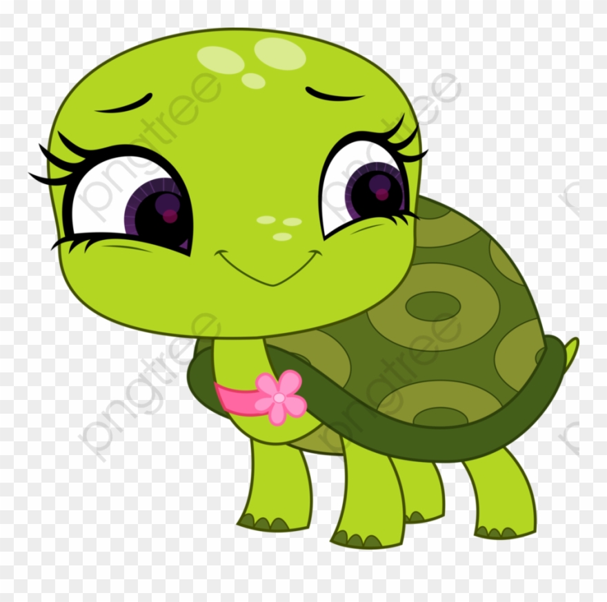 tortoise clipart cute