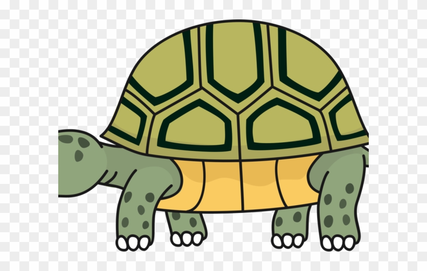 Turtoise Clipart Desert Tortoise