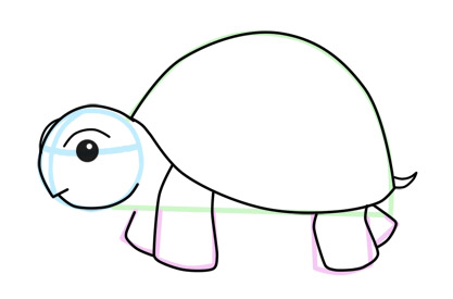 tortoise clipart easy