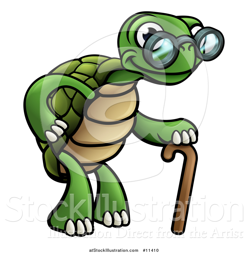 tortoise clipart happy
