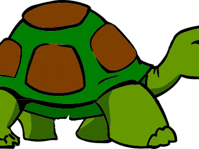 tortoise clipart old