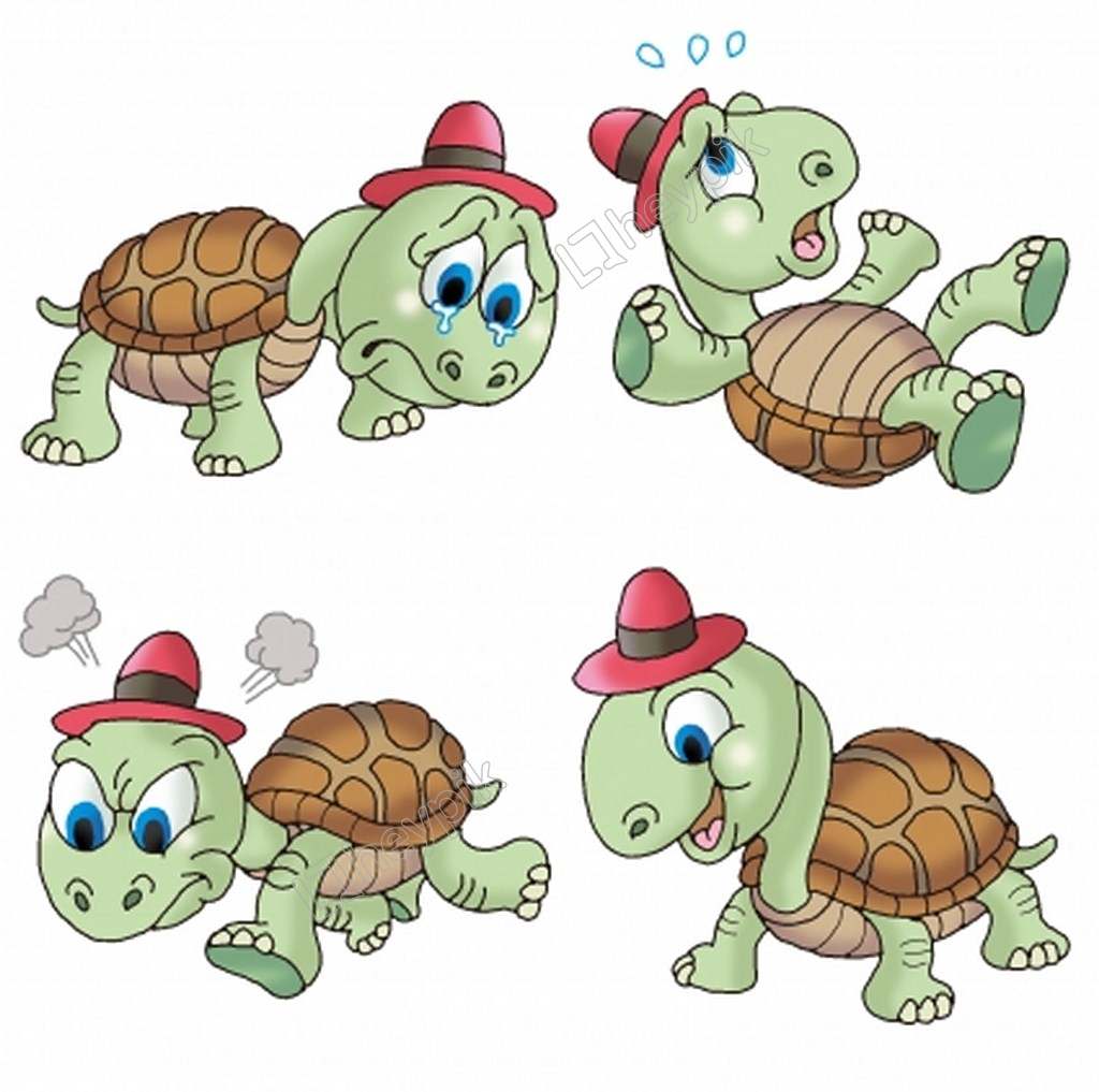 Tortoise Clipart old turtle
