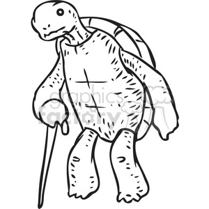 Old turtle vector.