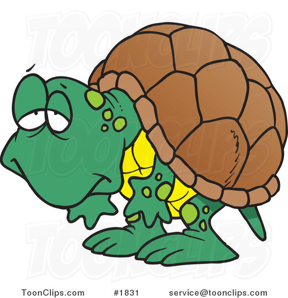 Tortoises cartoon free.