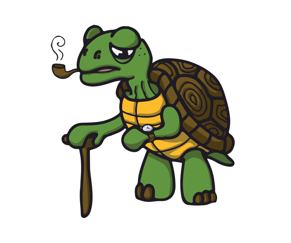 tortoise clipart old