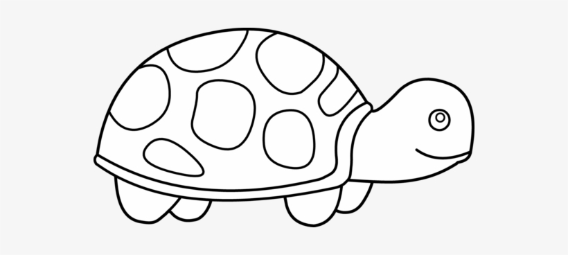 Collection tortoise clipart.