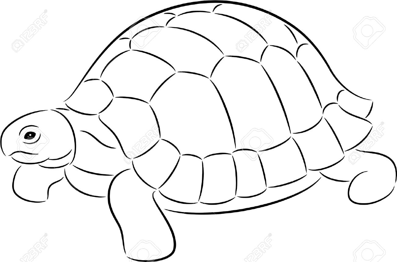 Tortoise clipart black and white