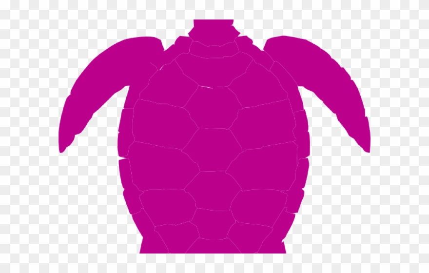 Tortoise Clipart Pink
