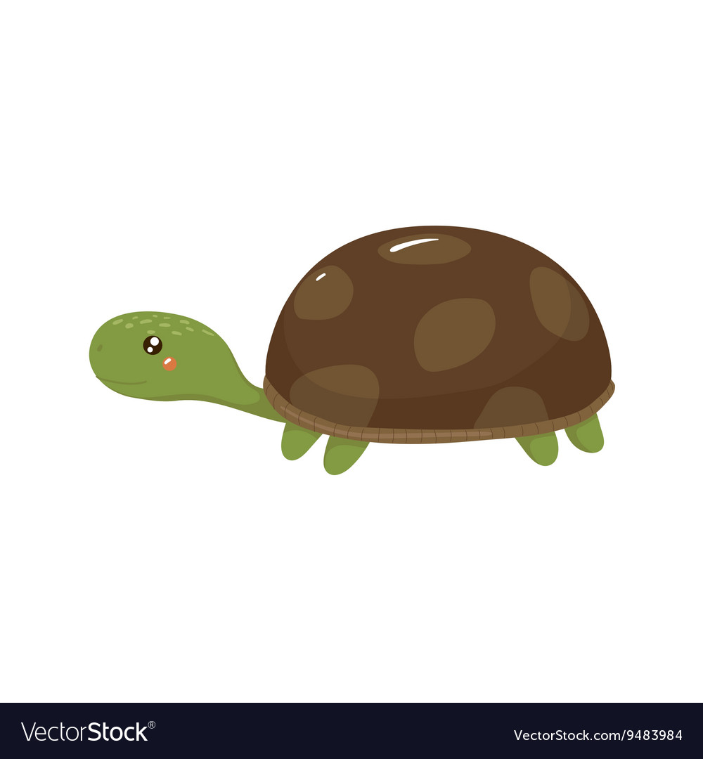 Tortoise Realistic Childish