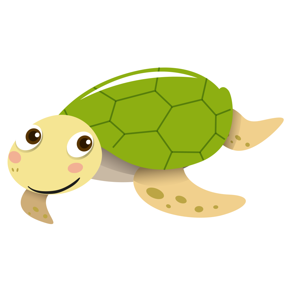 Sea turtle Tortoise Portable Network Graphics Vector