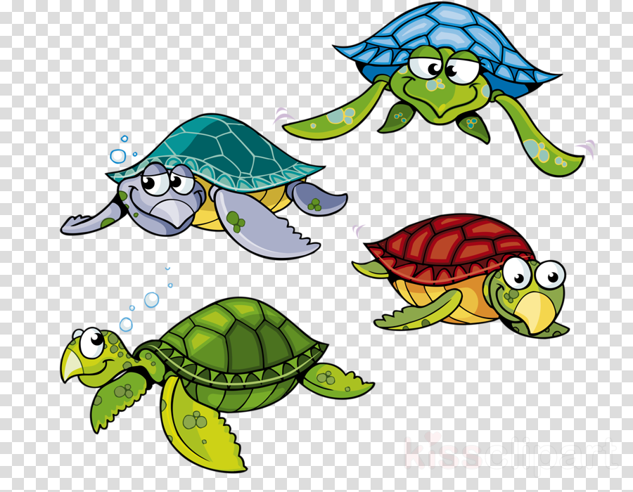 Sea turtle turtle tortoise green sea turtle clip art clipart