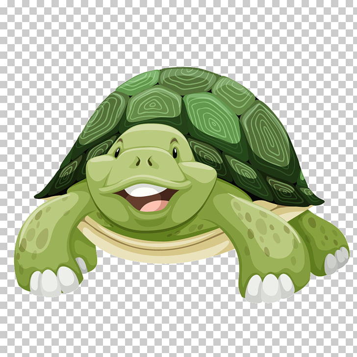 Sea turtle , Green turtle cartoon turtle, green tortoise