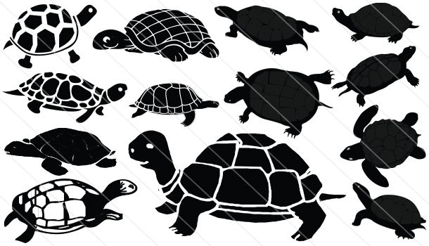 Turtle silhouette vector.