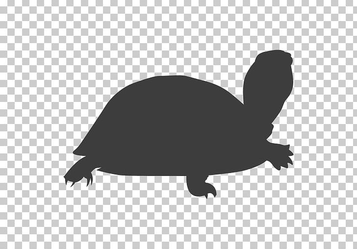 Tortoise Sea Turtle Silhouette Reptile PNG, Clipart, Black