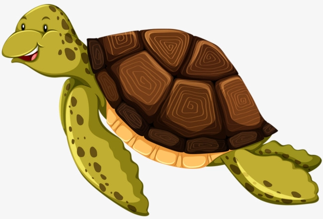 Download Free png Swimming Turtle, Swimming Clipart, Turtle