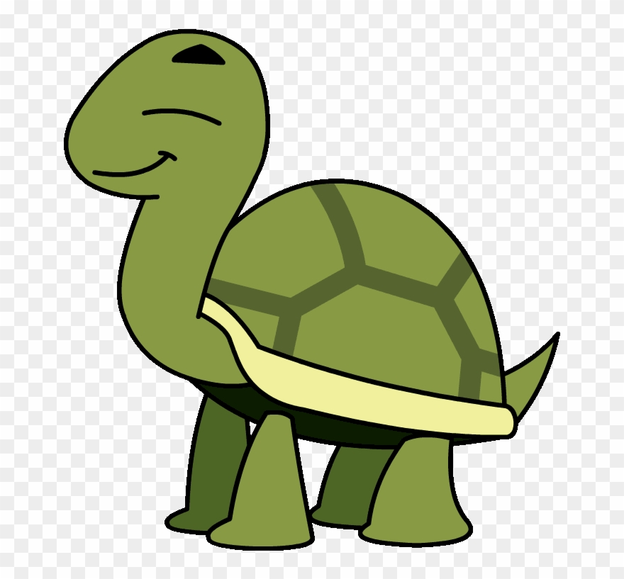 tortoise clipart turtle animation