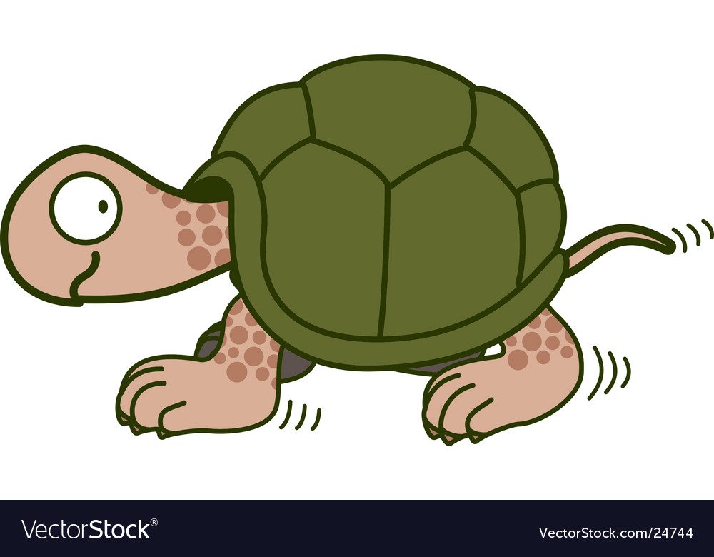 Walking tortoise.