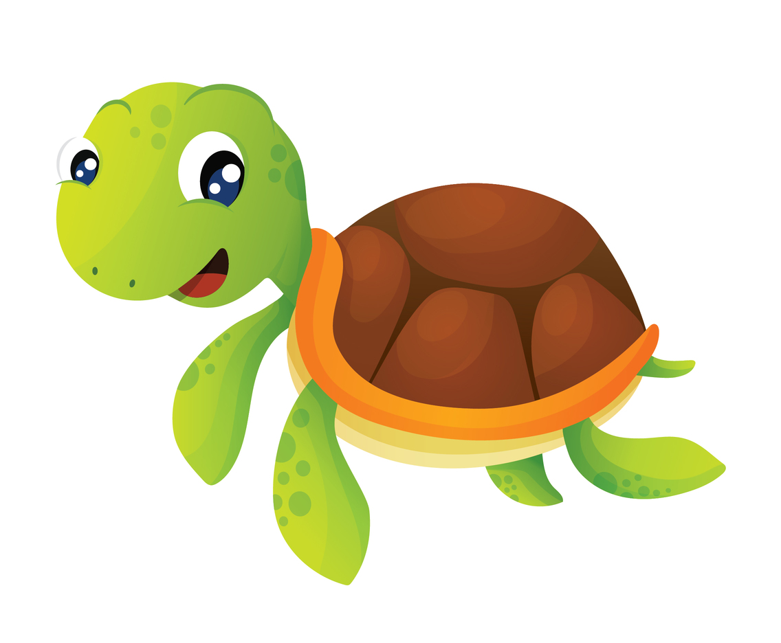 Cartoon turtle vector.