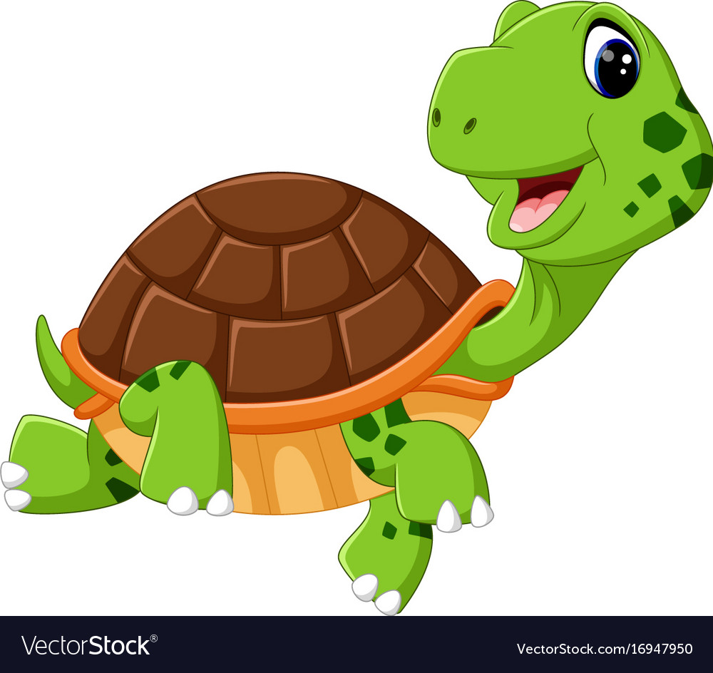Cute turtle cartoon.