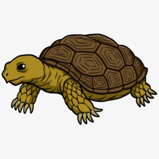 tortoise clipart walking