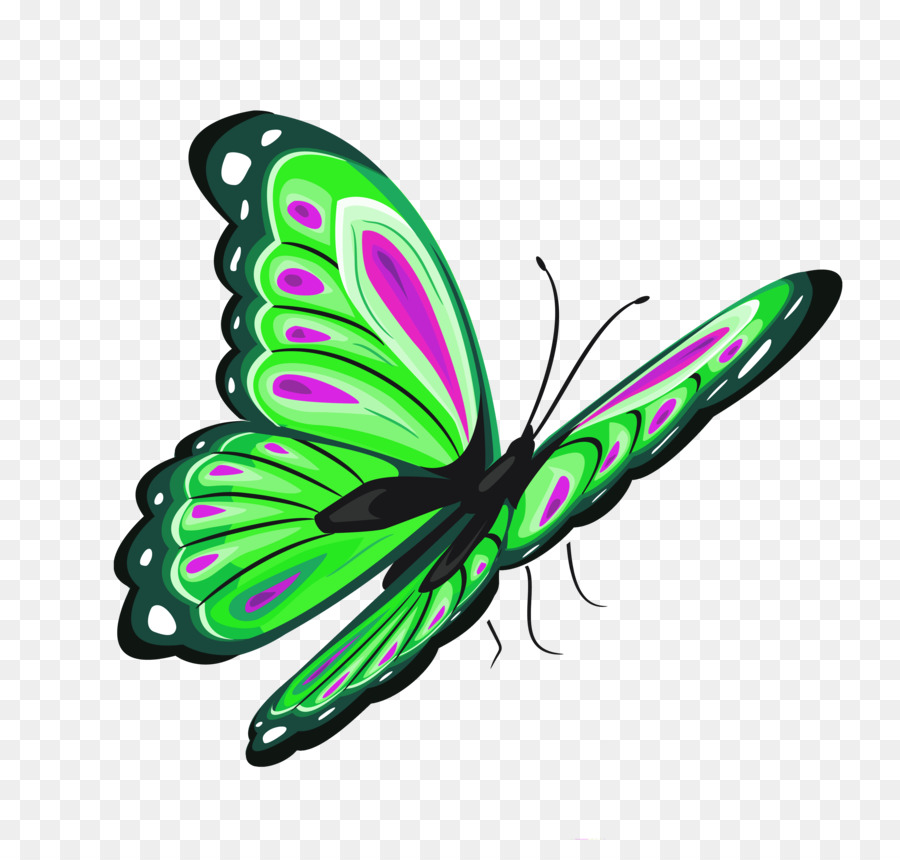 Butterfly transparent Butterfly clip art green clipart