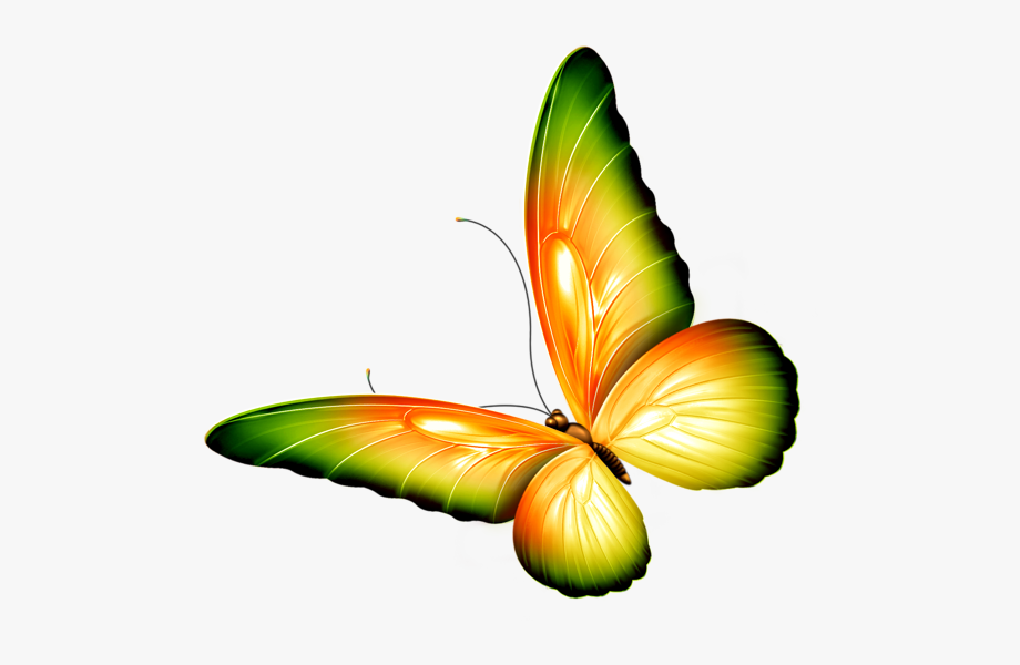 Butterfly Png Clipart Yellow And Green Transparent