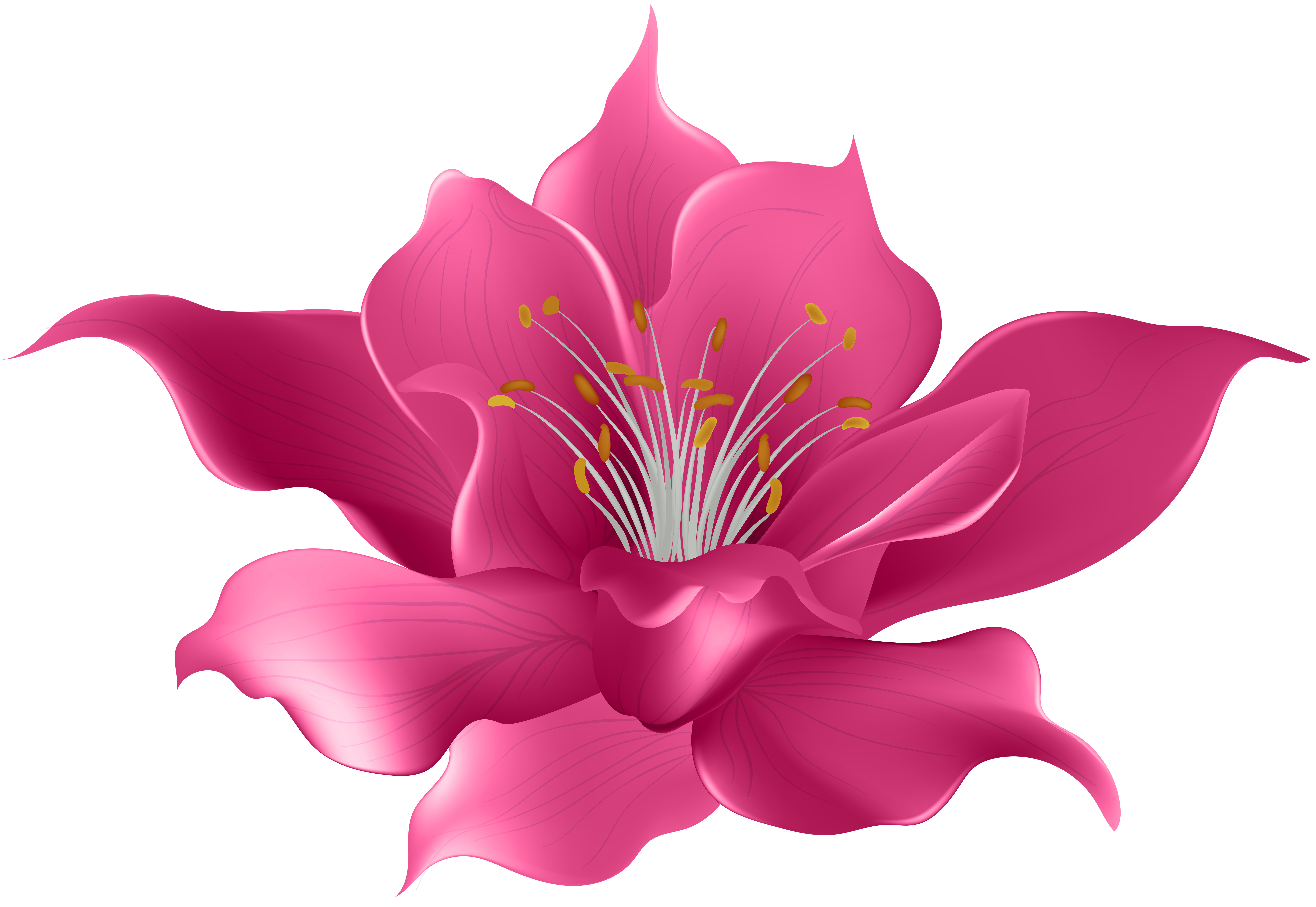 Pink Flower Transparent Clip Art Image