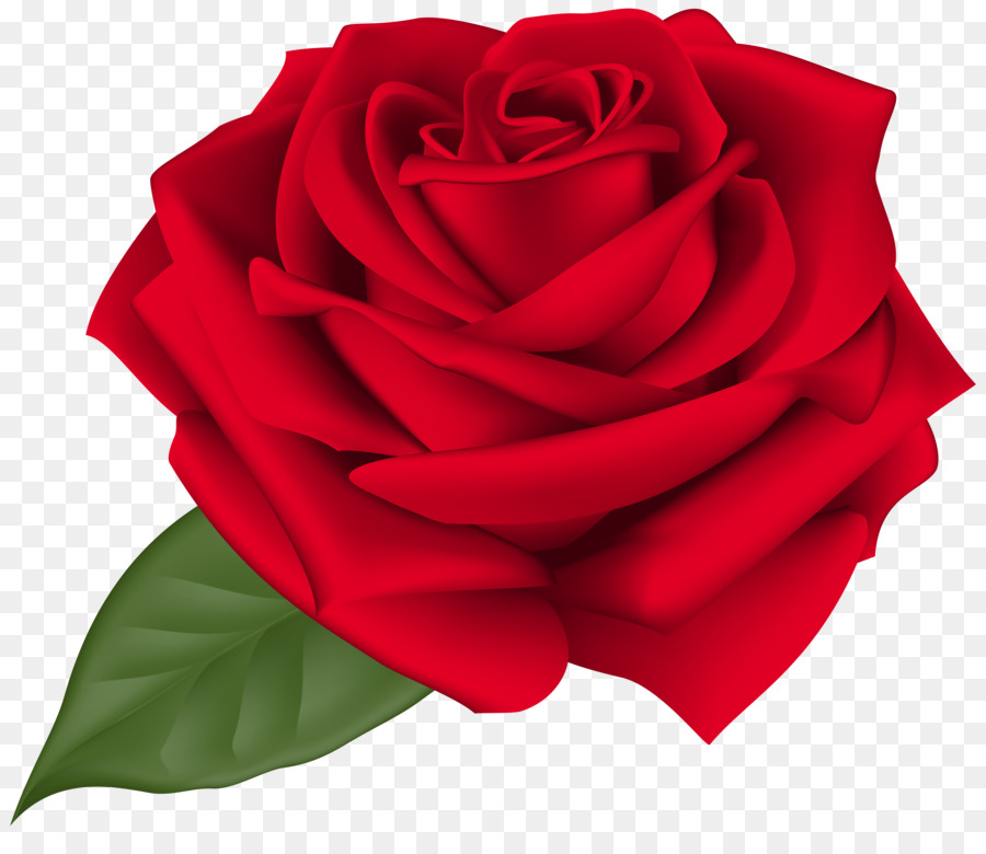 Rose Flower Clip art