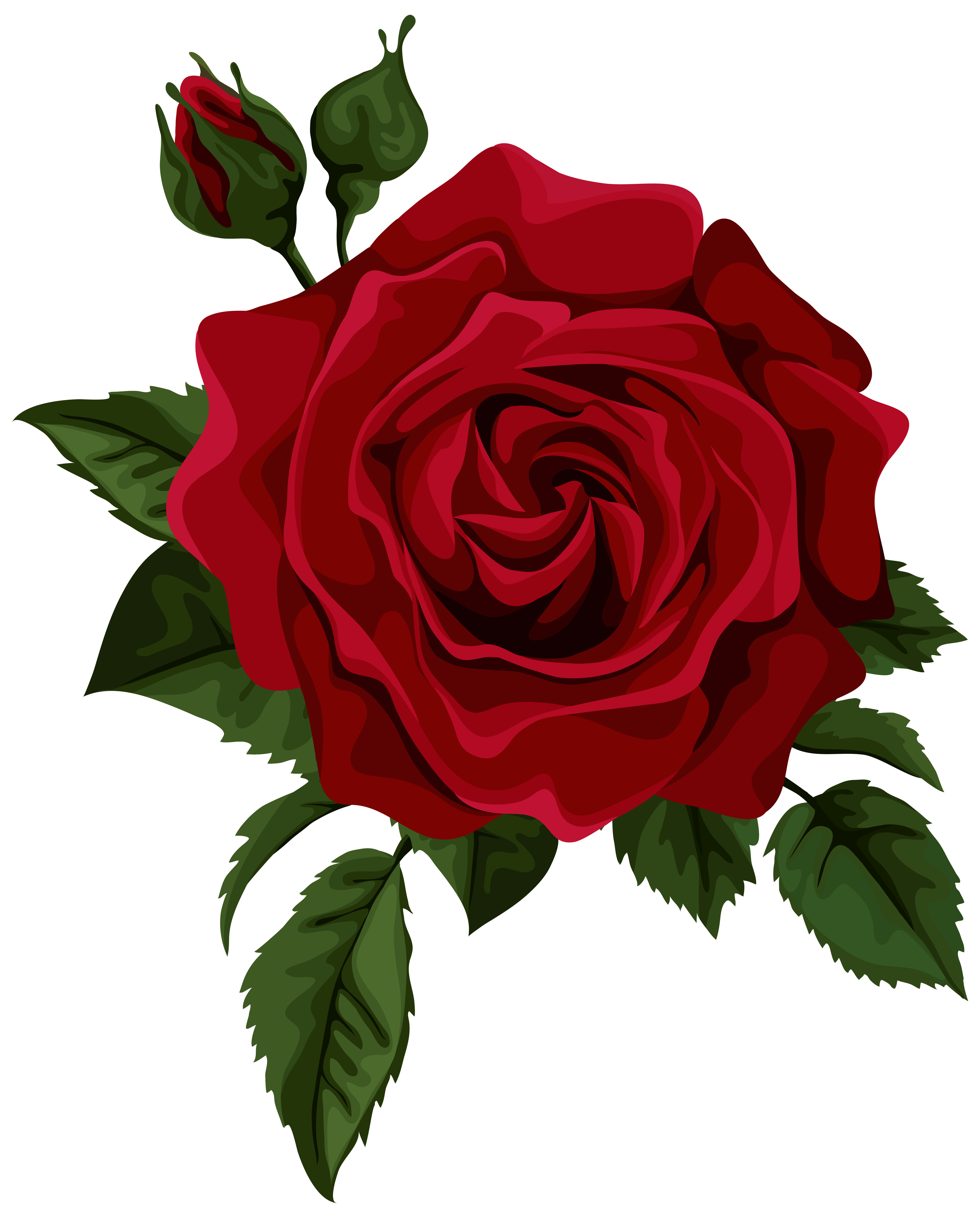 Roses red rose with bud transparent clip art picture
