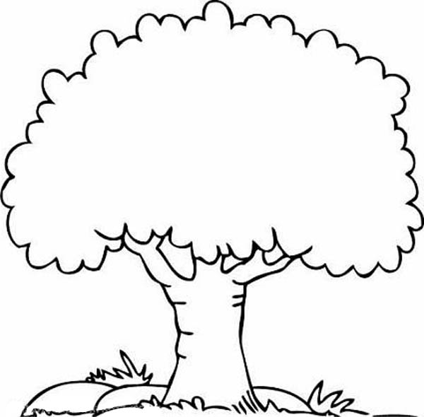 Apple Tree Clipart Black And White