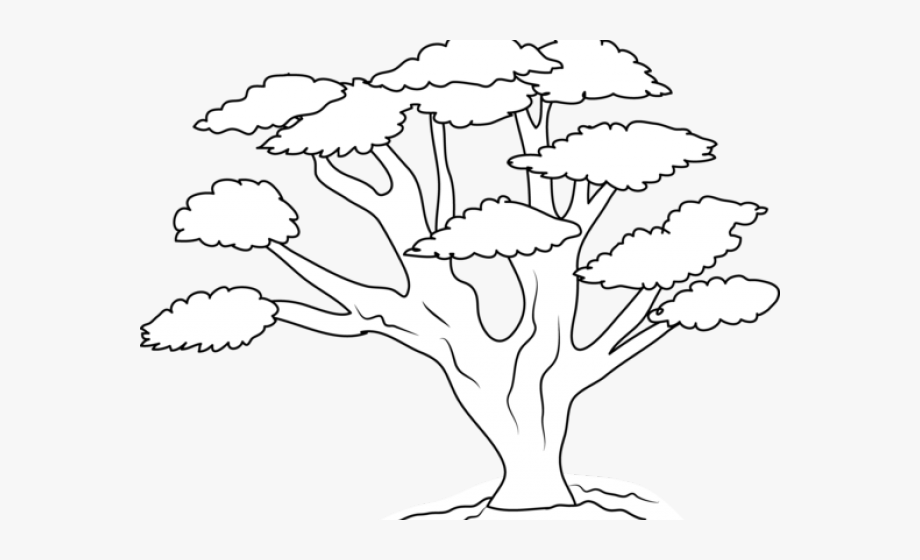 Forest Clipart Oak Tree