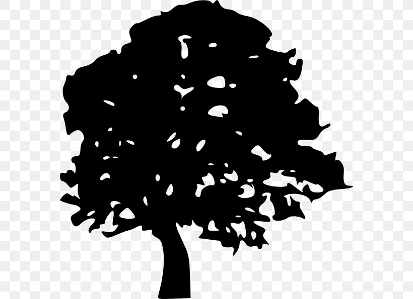 Oak tree silhouette.