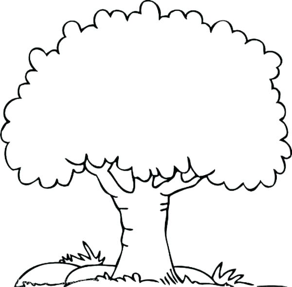 tree black and white clipart printable