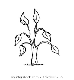 Small tree clipart black and white