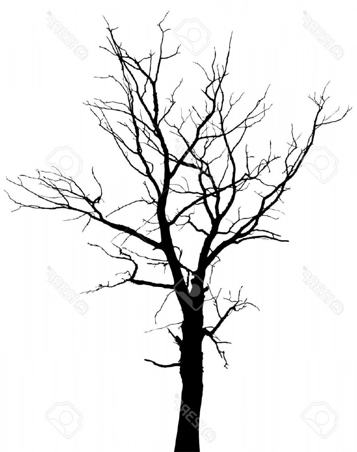 Barren Black Tree Clipart With Transparent Background