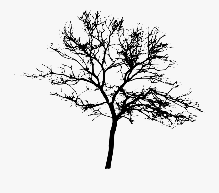 tree black and white clipart transparent background