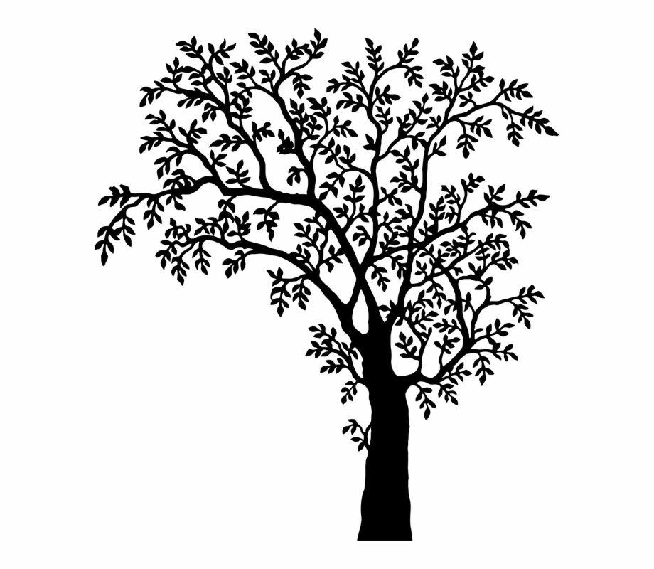 tree black and white clipart vector