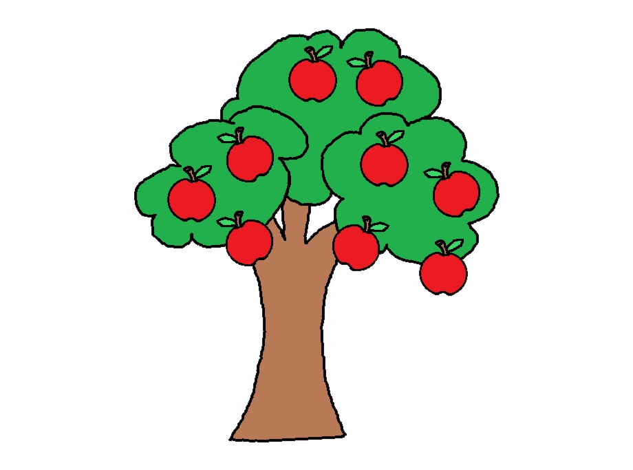 Apple tree branch.