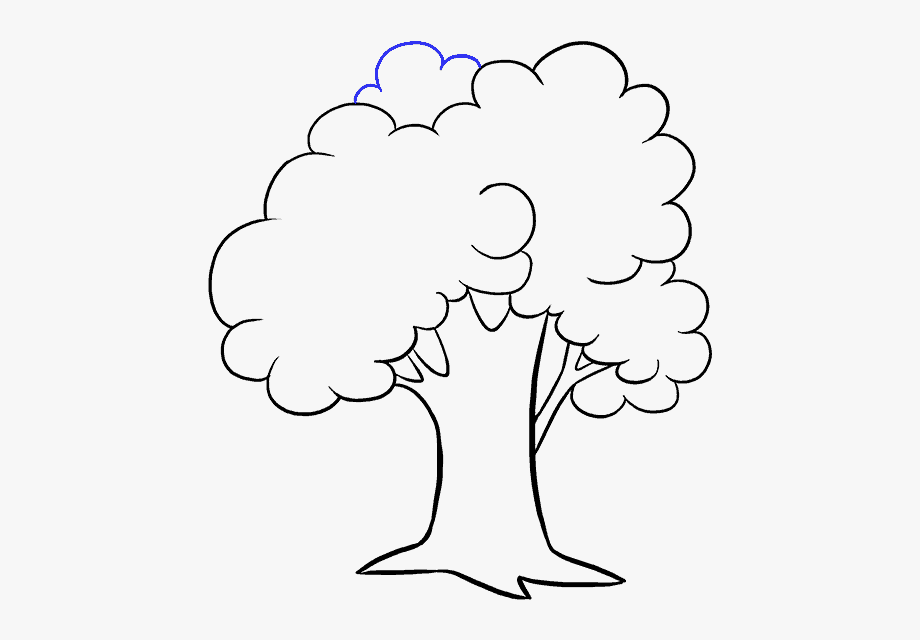Black And White Drawing Of A Tree