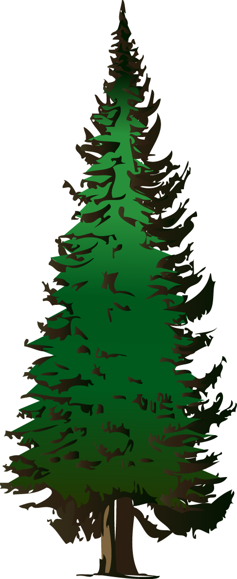 Free Evergreen Tree Images, Download Free Clip Art, Free